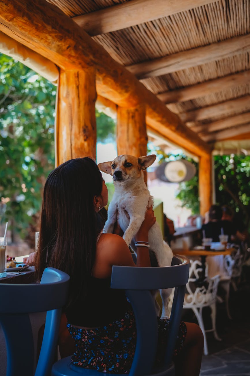 Dog-Friendly Dining in Issaquah: Where to Eat with Your Canine&nbsp;Companion