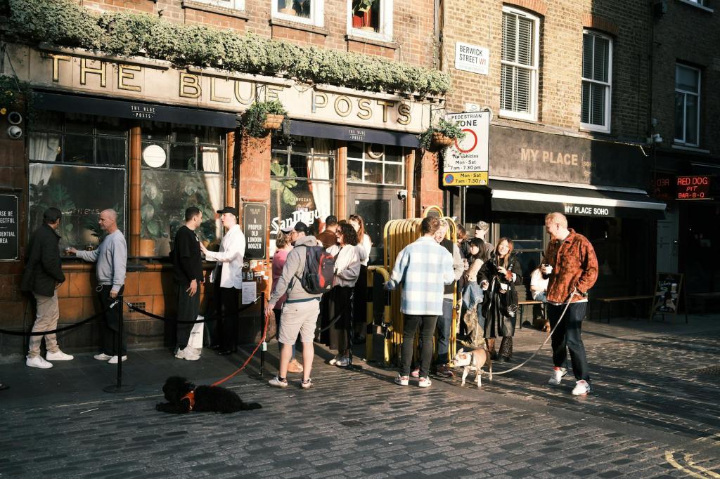 Dog-Friendly Dining in Lynnwood: Best Places to Eat with Your Furry&nbsp;Friend