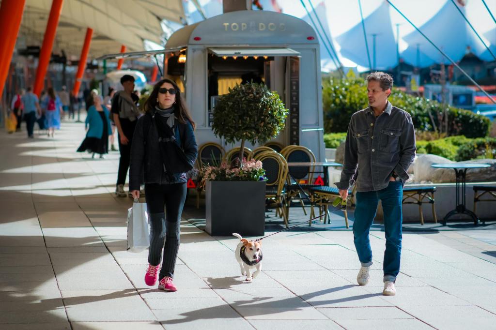 Dog-Friendly Dining in Bellevue: Top Places to Bring Your Canine&nbsp;Companion