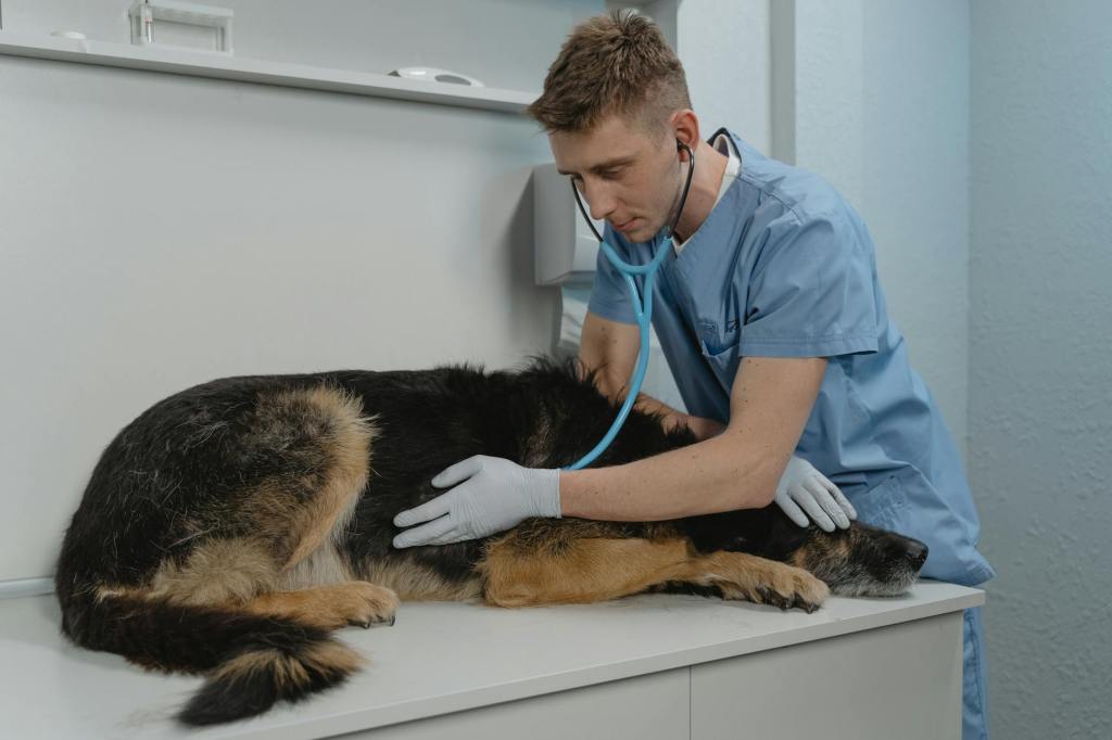 Top 7 Nashville Veterinarians for Dogs: Best Animal Hospitals for&nbsp;2025