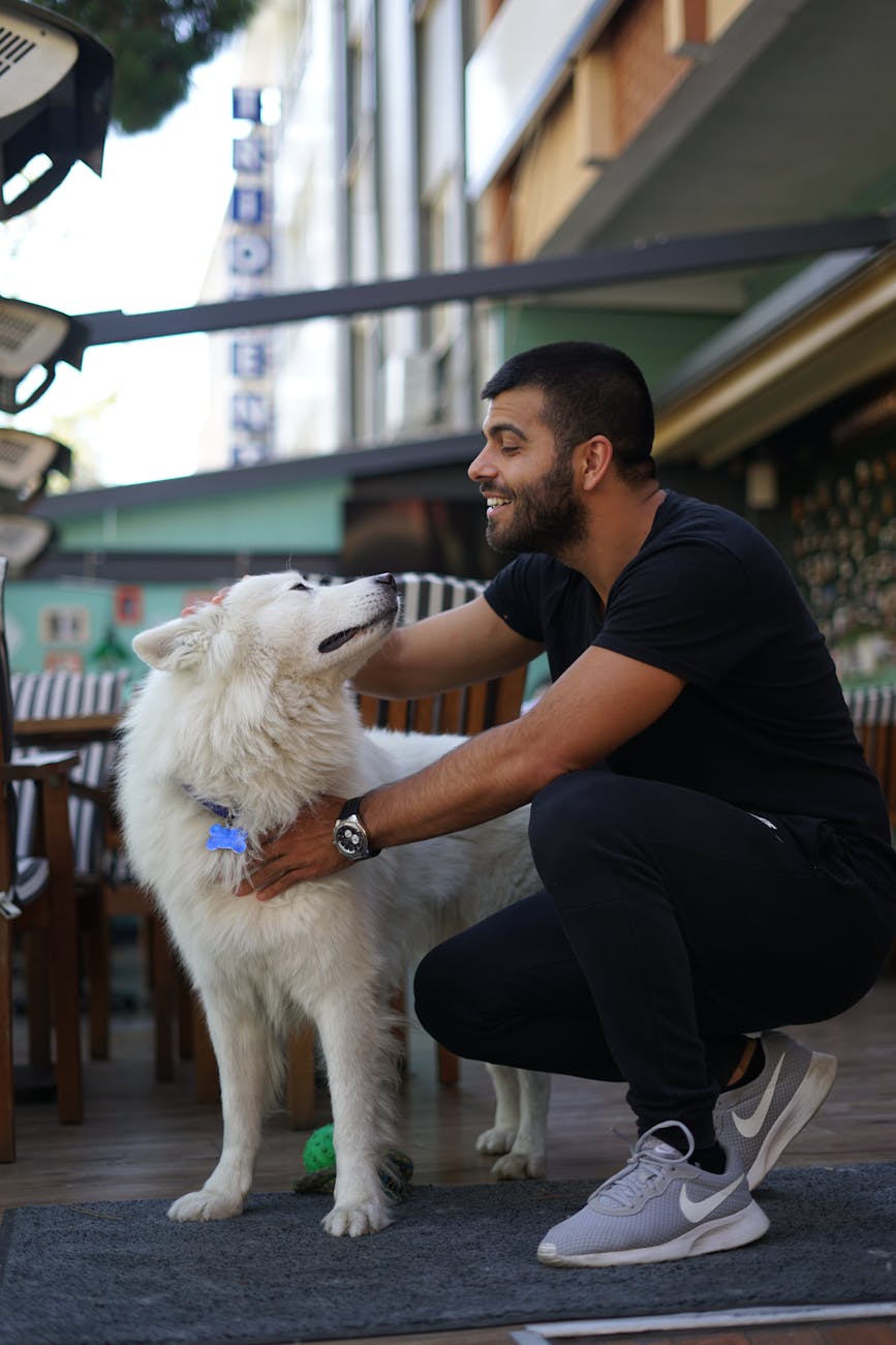Dog-Friendly Dining in Ballard, WA: Seattle’s Most Canine-Welcoming Neighborhood